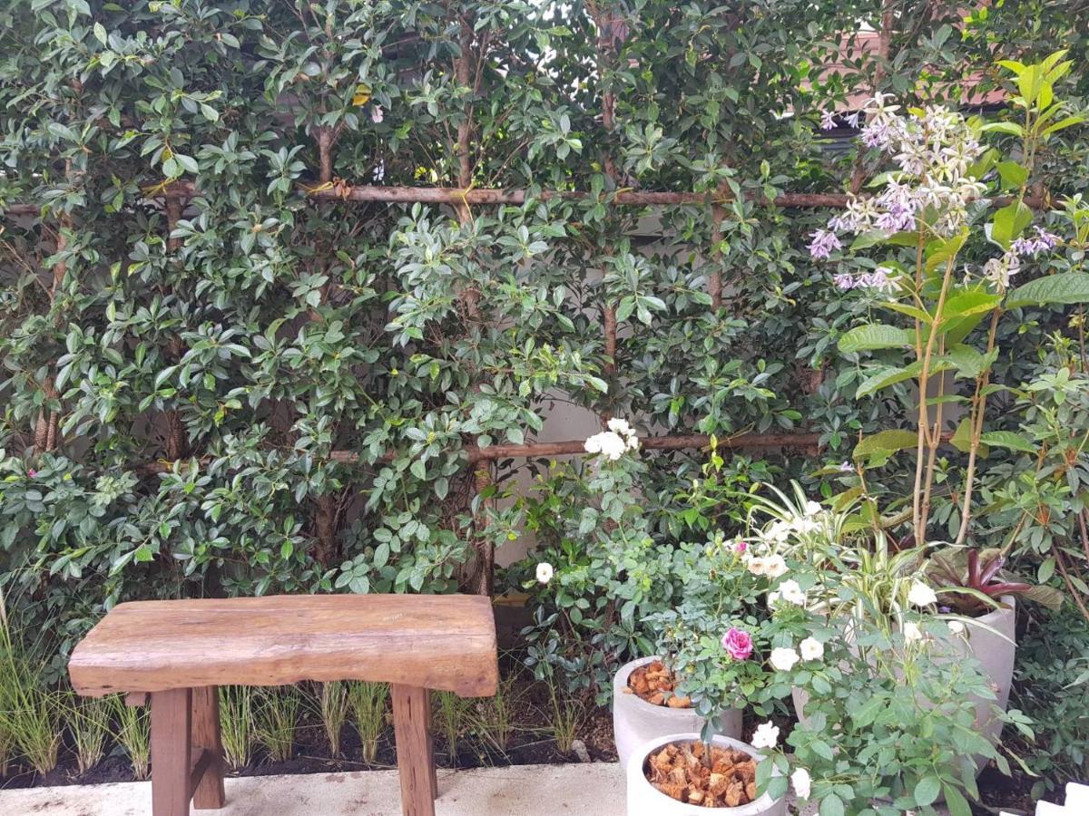 Hotel Rosy Chiang Mai Exterior foto